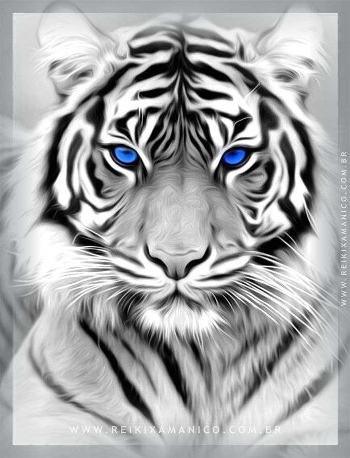 Reiki Xamânico - Animais de Poder