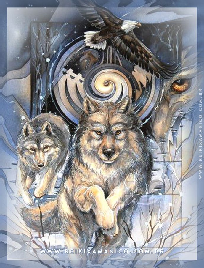 Reiki Xamânico - Animais de Poder